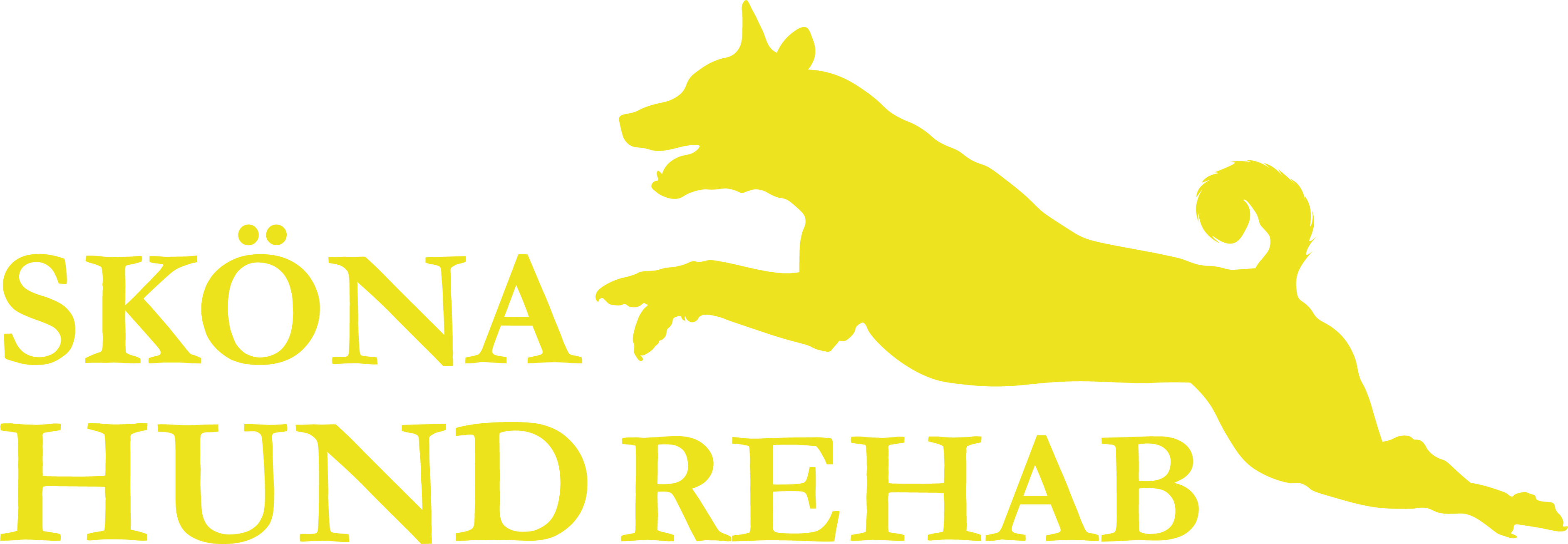 Sköna Hund Rehab